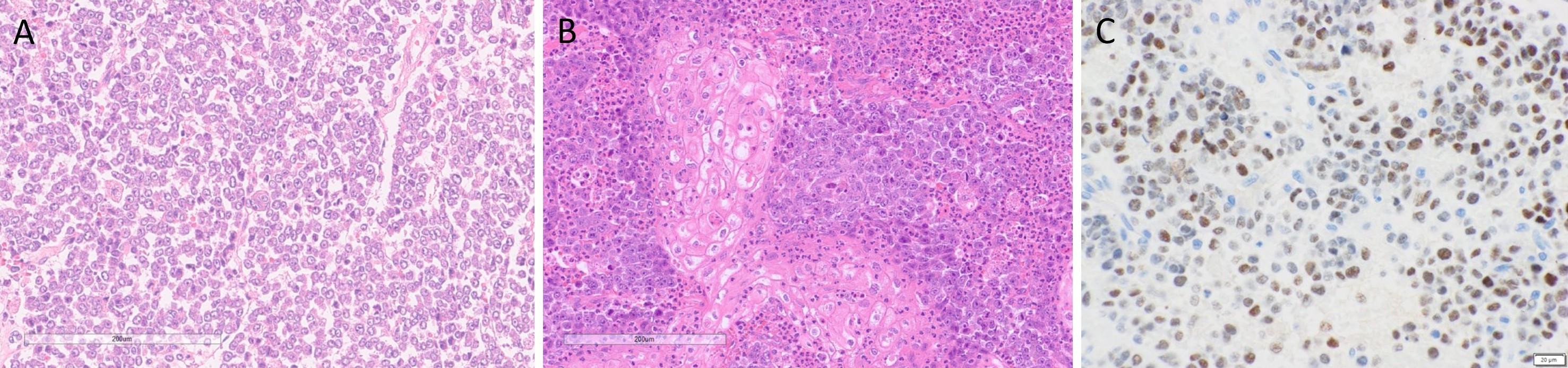 Figure 2.jpg